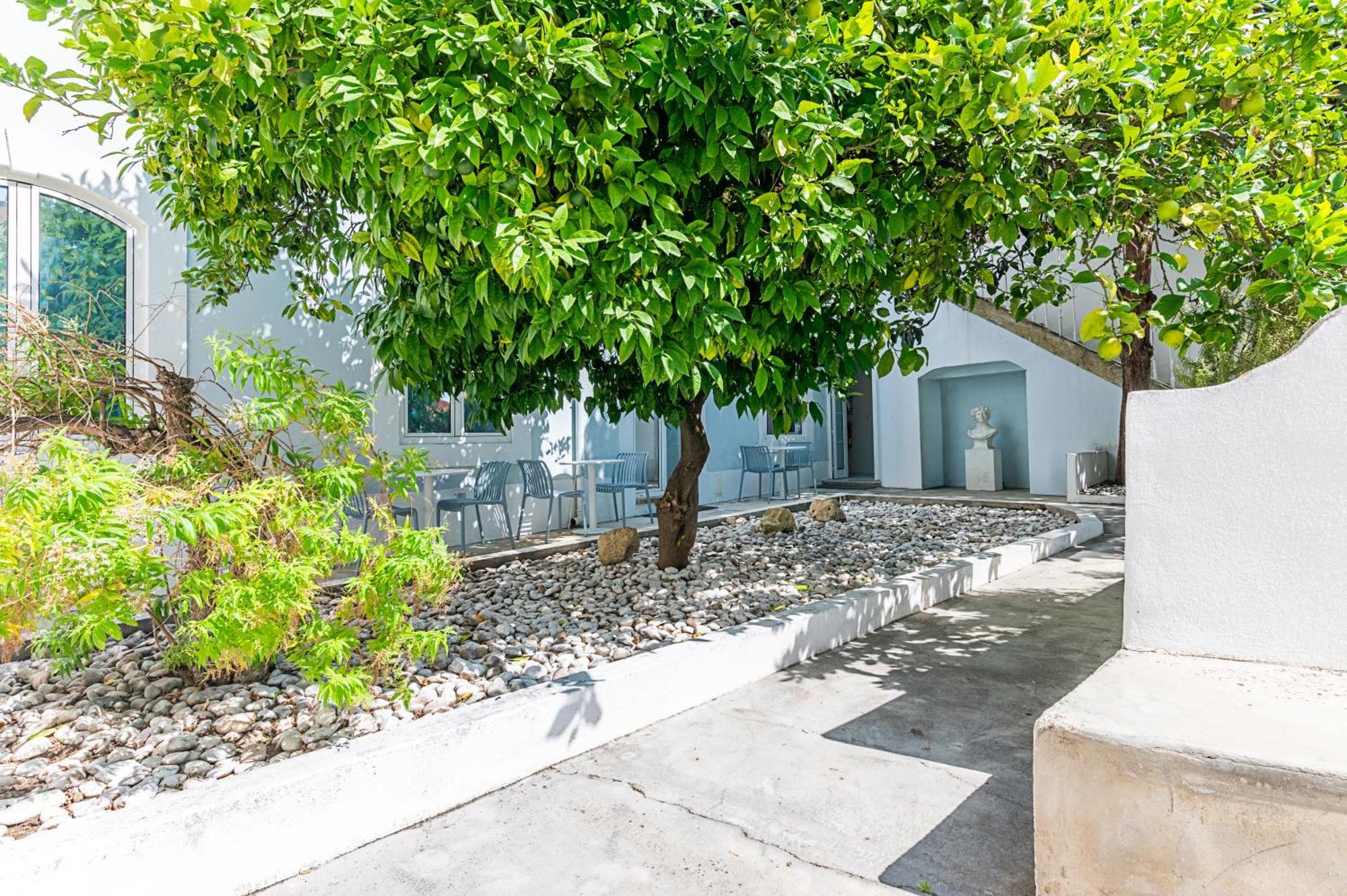 ליסבון Portas Do Castelo Apartments מראה חיצוני תמונה
